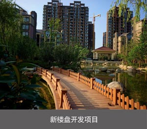 負一正二帶地坑PSH3-D1三層升降橫移機械式立體車庫新樓盤開發(fā)項目