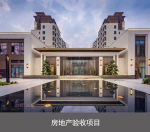負一正二帶地坑PSH3-D1三層升降橫移機械式立體車庫房地產(chǎn)驗收項目